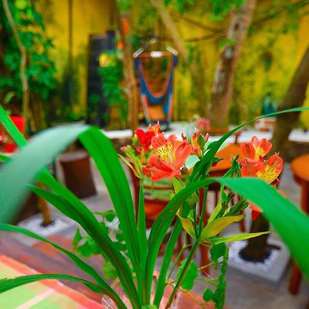 Villa Amilisa 高尔 外观 照片
